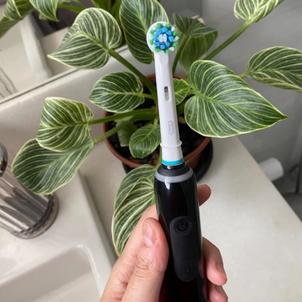 Escova elétrica Oral-B PRO Series 3 sendo segurada próxima a vaso de planta em banheiro